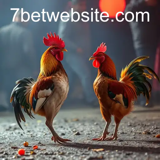 Exploring the Dynamics of Online Sabong through 7BET